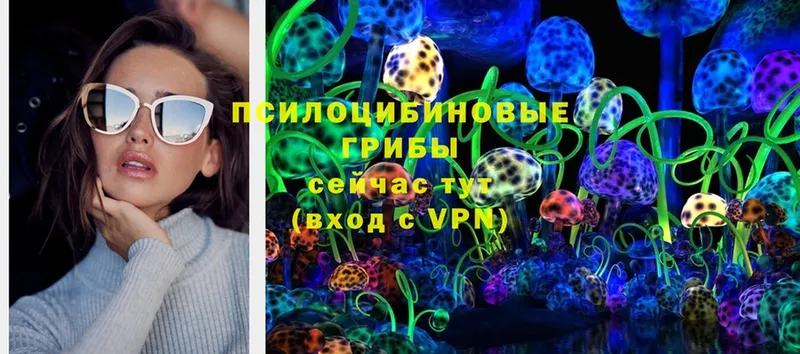 купить закладку  Рассказово  Галлюциногенные грибы MAGIC MUSHROOMS 